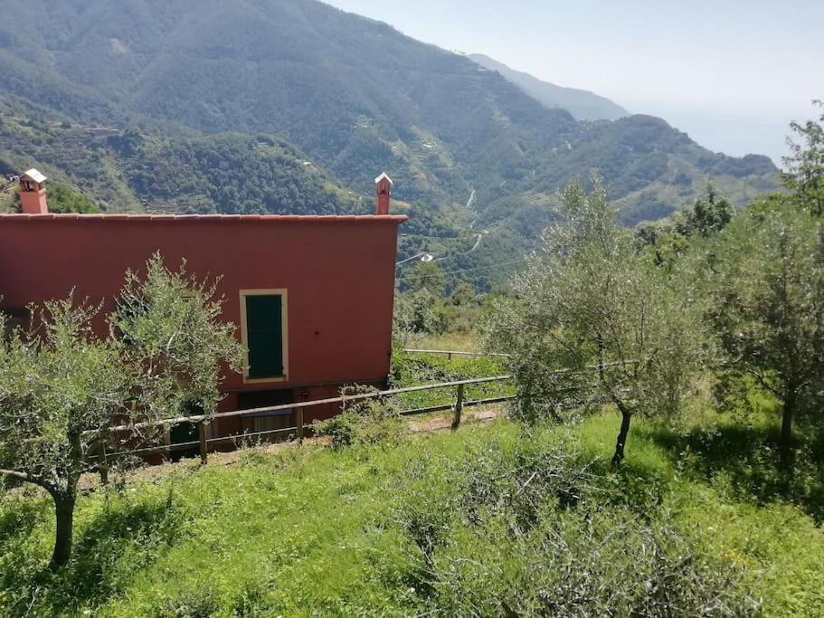 Quiet And Cozy Home With Wi-Fi Casa Prearino Вернацца Экстерьер фото